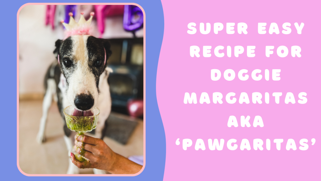 How To Make Doggie Margaritas – Easy Recipe