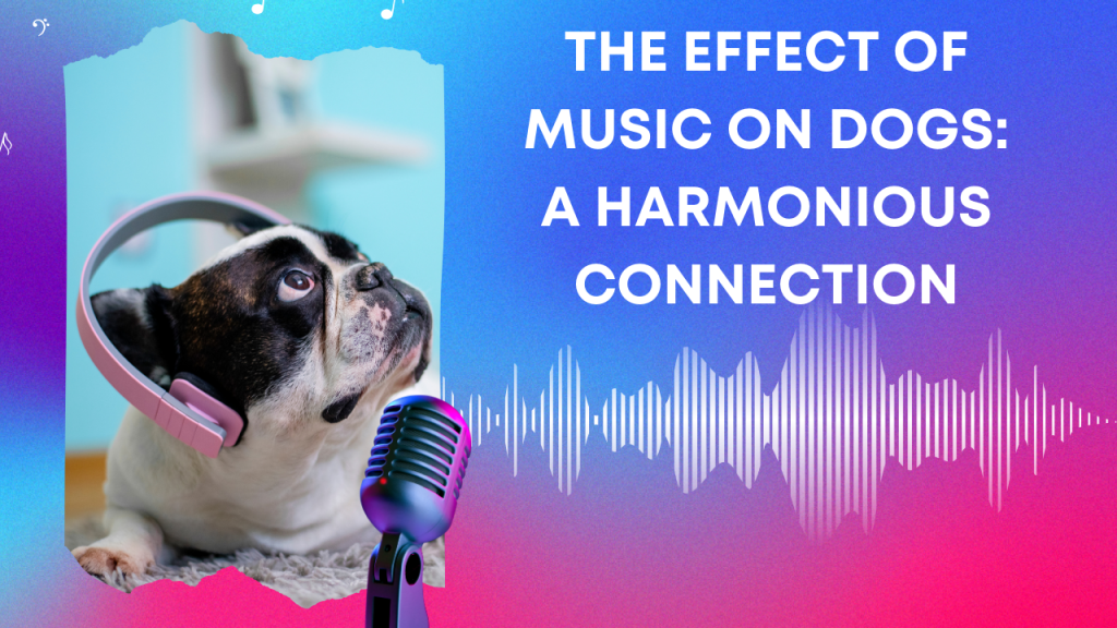 The Effect Of Music On Dogs: A Harmonious Connection