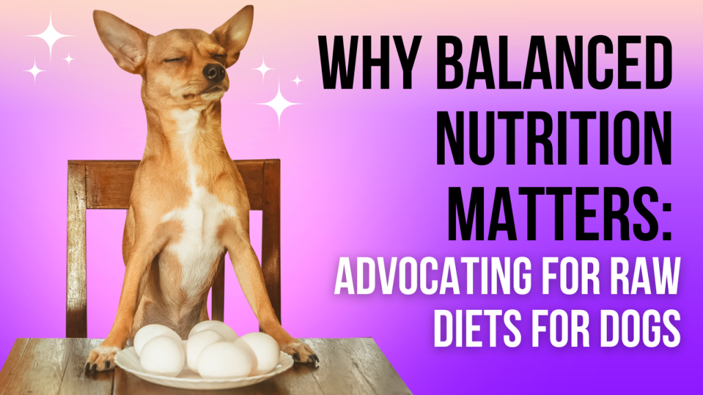 Why Balanced Nutrition Matters: Advocating for Raw Diets for Dogs